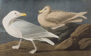 Illustration de 