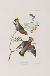 Illustration de 