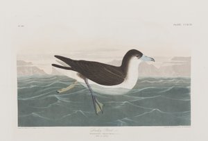 Illustration de 