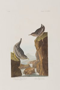 Illustration de 