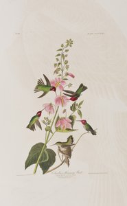 Illustration de 