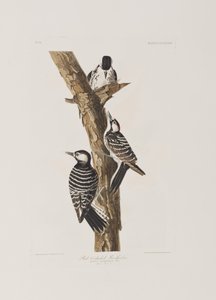 Illustration de 