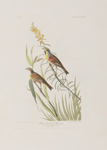 Illustration de 