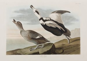 Illustration de 