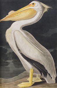 Illustration de 