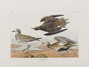 Illustration de 