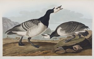 Illustration de 