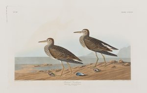 Illustration de 