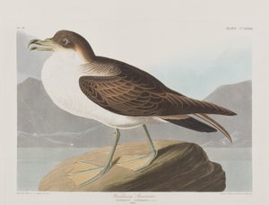 Illustration de 