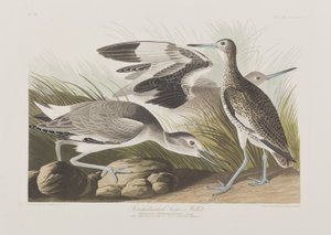 Illustration de 