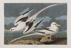 Illustration de 
