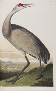 Illustration de 