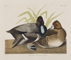 Illustration de 