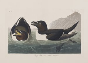 Illustration de 