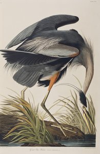 Illustration de 