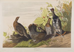 Illustration de 