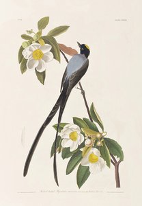 Illustration de 