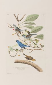 Illustration de 