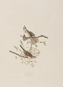 Illustration de 
