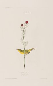 Illustration de 