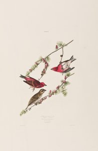 Illustration de 