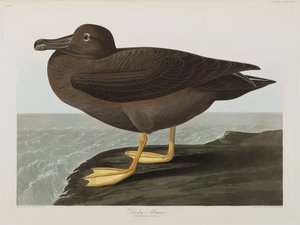 Illustration de 
