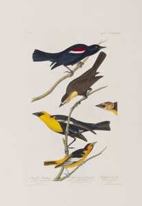 Illustration de 