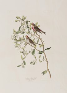 Illustration de 