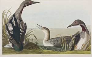 Illustration de 