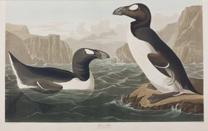 Illustration de 