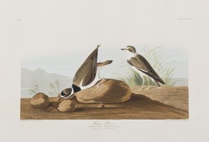 Illustration de 