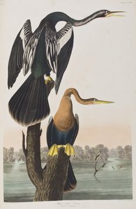 Illustration de 