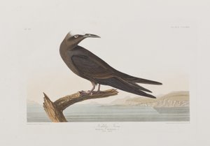 Illustration de 