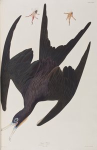 Illustration de 