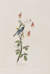Illustration de 