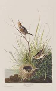 Illustration de 