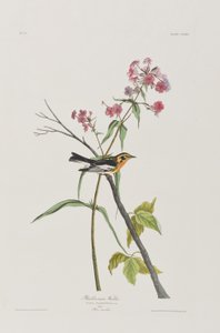 Illustration de 