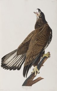Illustration de 