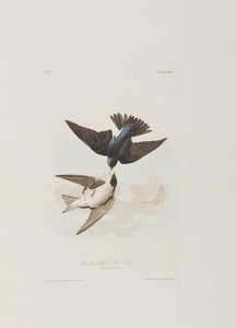 Illustration de 