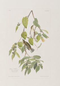 Illustration de 