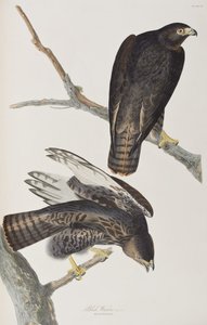 Illustration de 