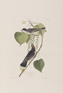 Illustration de 