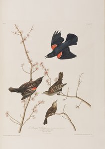Illustration de 