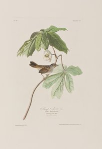 Illustration de 