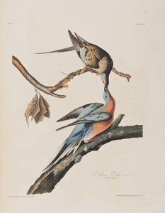 Illustration de 