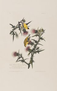 Illustration de 