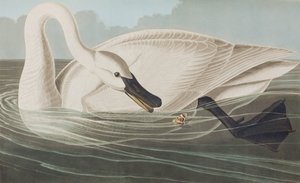 Illustration de 