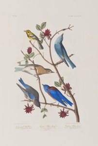 Illustration de 