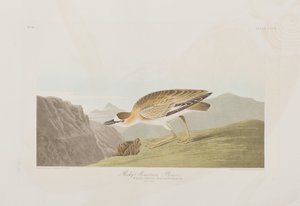 Illustration de 