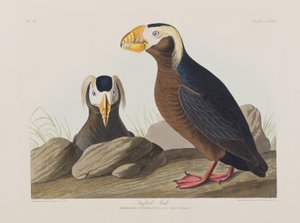 Illustration de 